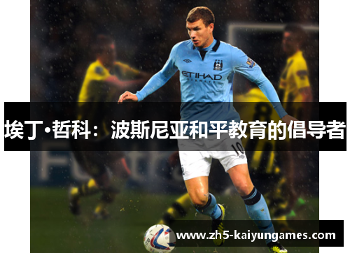 埃丁·哲科:波斯尼亚和平教育的倡导者 埃丁·哲科:波斯尼亚和平教育的倡导者