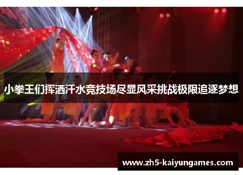 小拳王们挥洒汗水竞技场尽显风采挑战极限追逐梦想