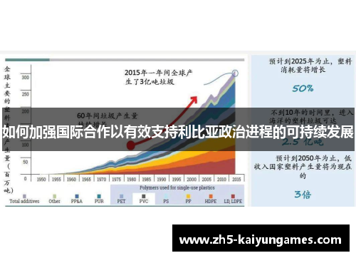 如何加强国际合作以有效支持利比亚政治进程的可持续发展