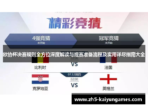 欧协杯决赛规则全方位深度解读与观赛准备流程及实用详尽指南大全