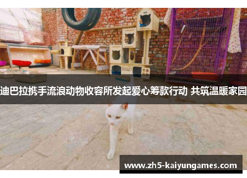 迪巴拉携手流浪动物收容所发起爱心筹款行动 共筑温暖家园 迪巴拉携手流浪动物收容所发起爱心筹款行动 共筑温暖家园